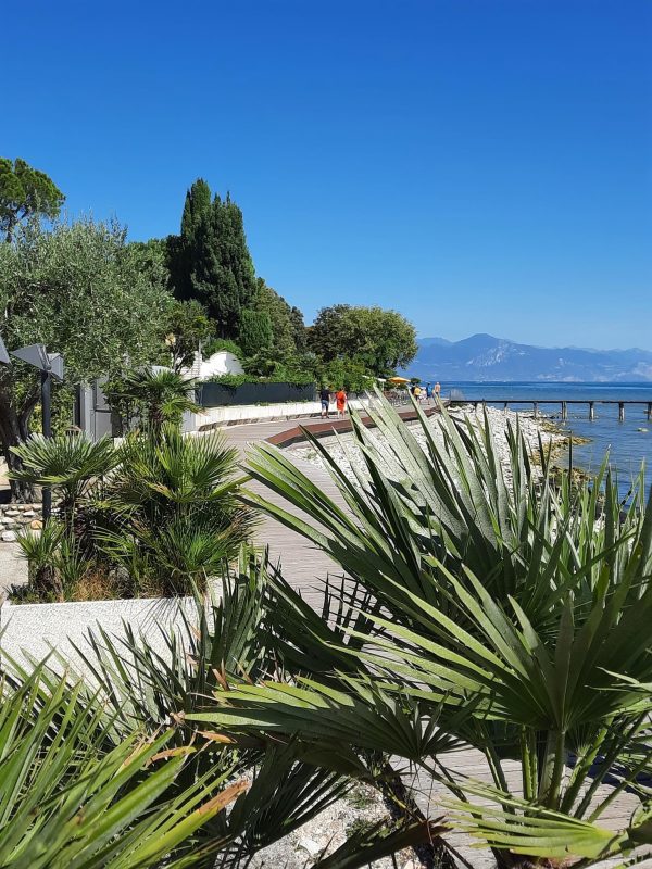 Tantra Enjoy sweeping views of the ocean, majestic mountains, and serene gardens — all in one frame.