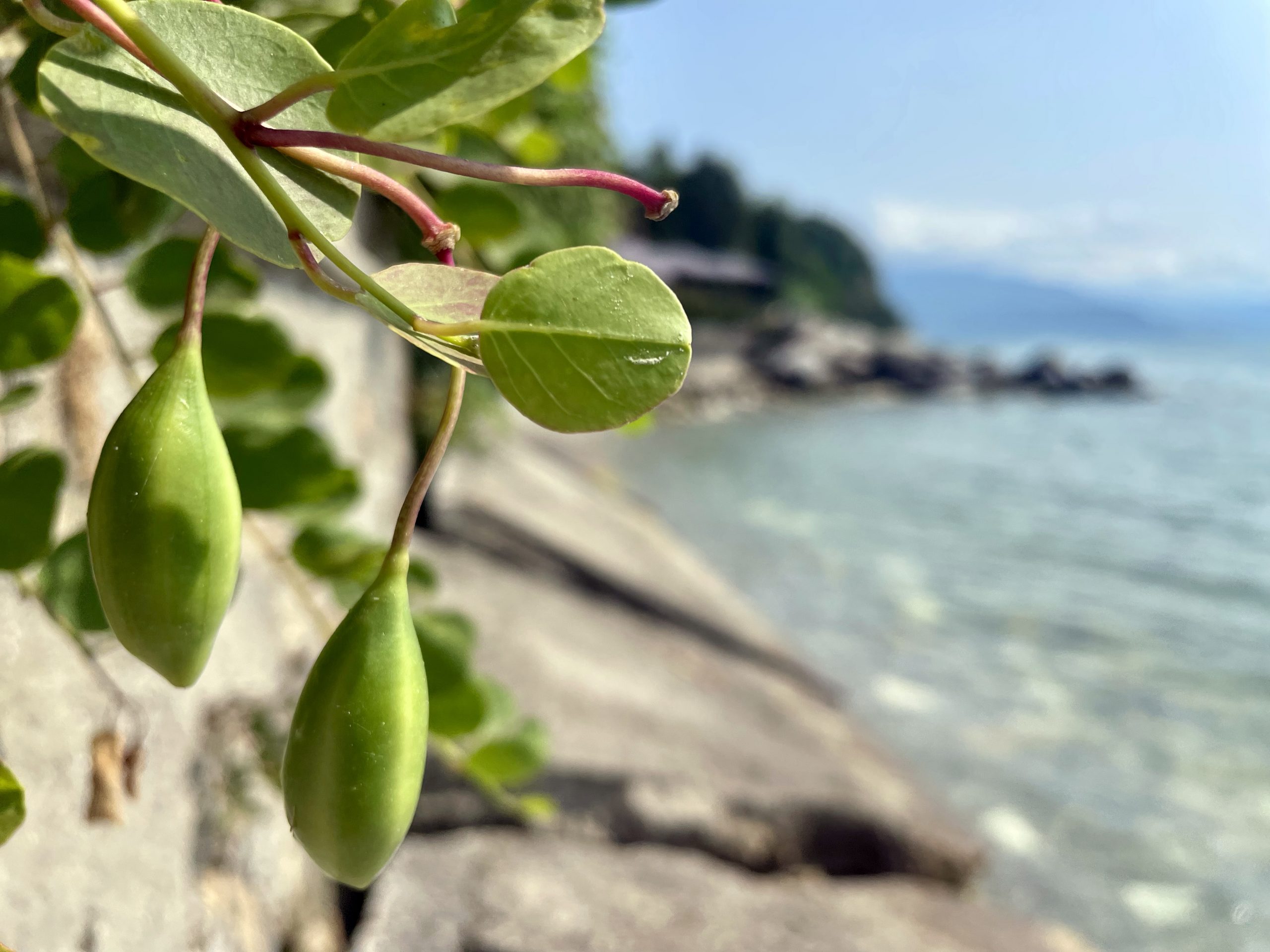 Tantra Sexuality, Purification and Protection