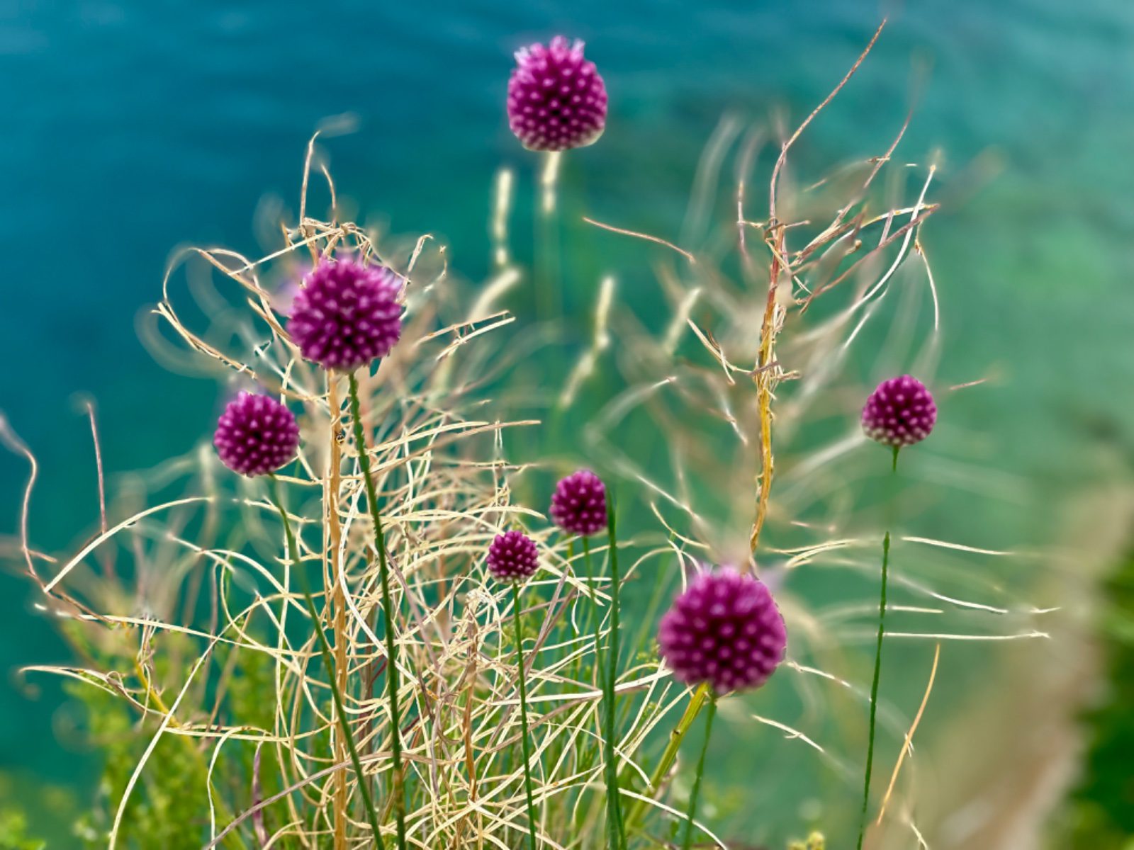 Tantra Nature is in secret – Divine Harmony