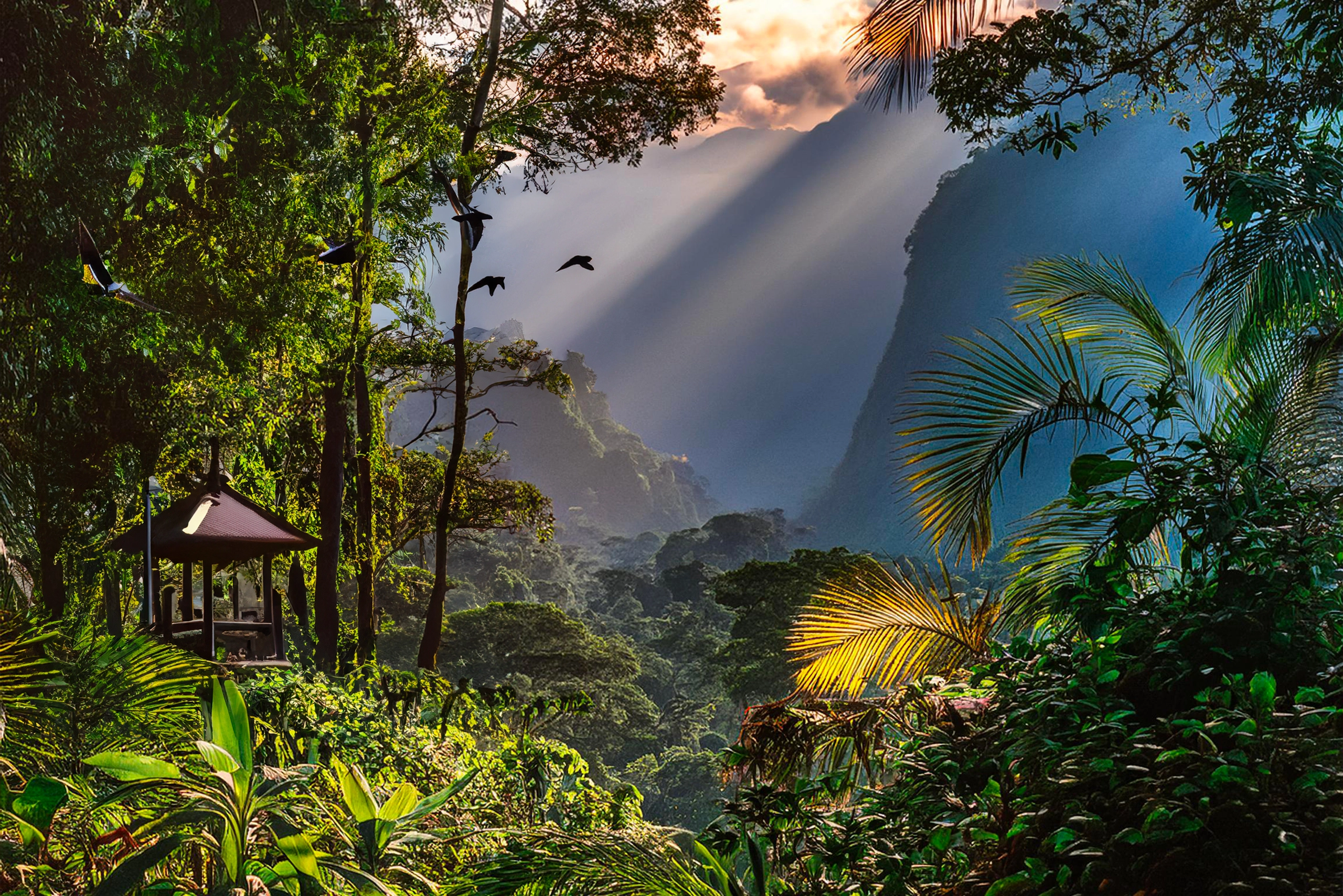 Sunlight filtering through tall trees in a serene forest, evoking the peaceful atmosphere of a Natural Day experience