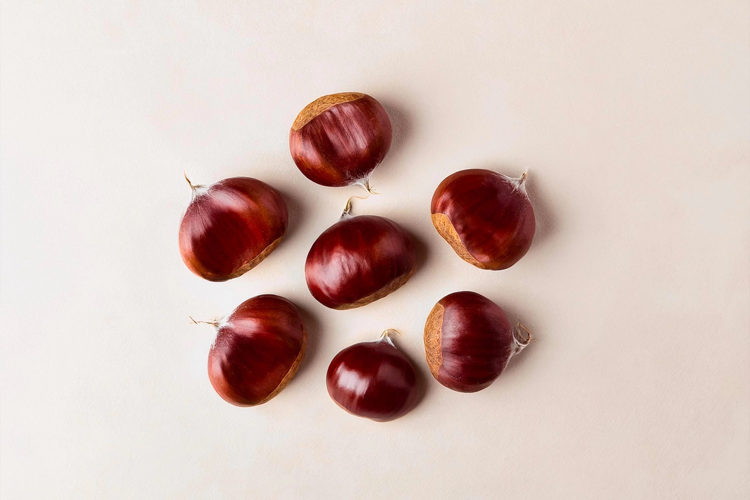Open chestnuts without the spiky shell, showcasing their smooth, shiny interior