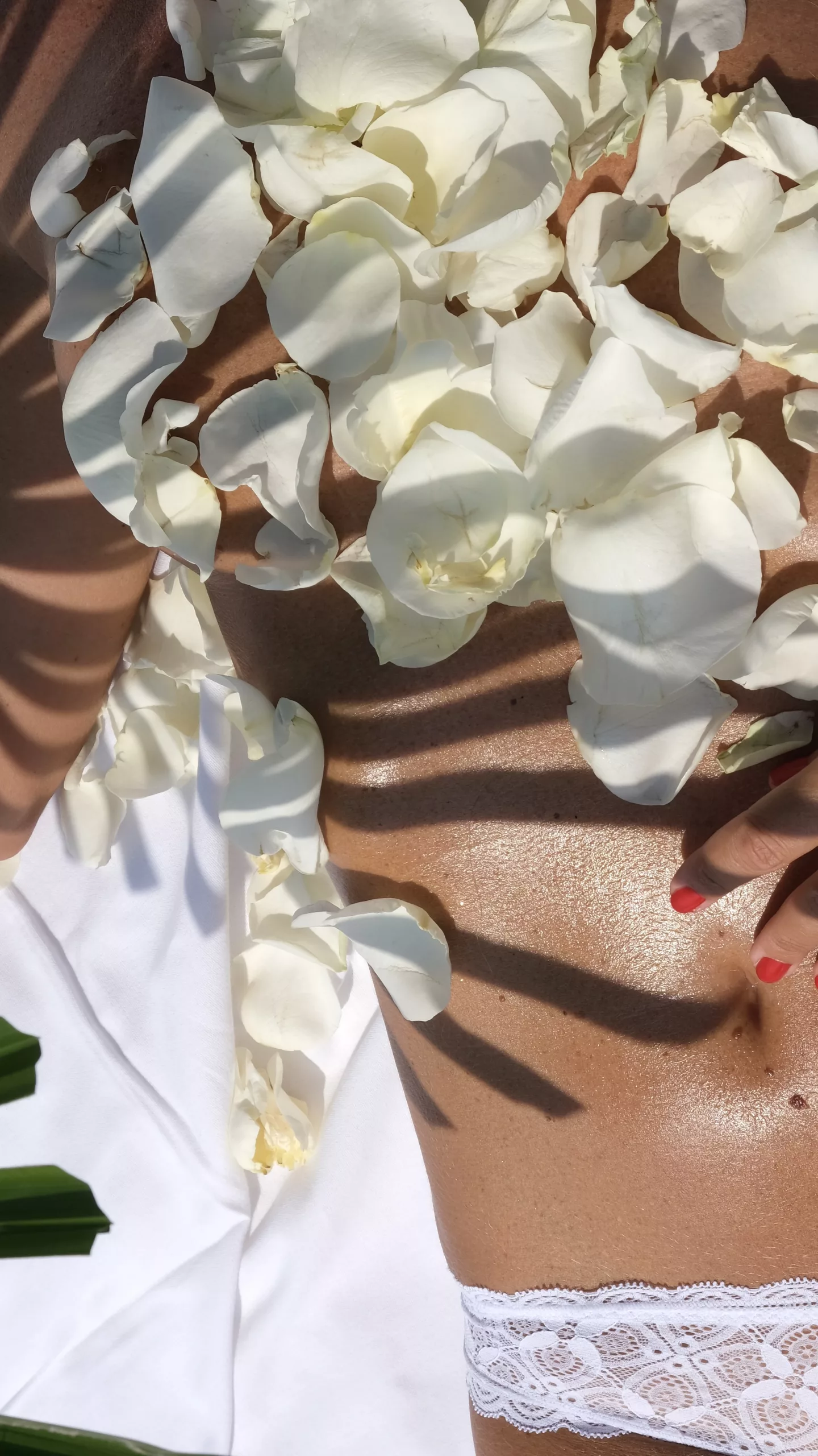 Tantra Cover image for the article titled ‘Rose Petals: The Tantric Ritual for Beauty and Serenity’, featuring delicate rose petals arranged in a serene pattern, symbolizing peace, beauty, and the essence of tantric rituals