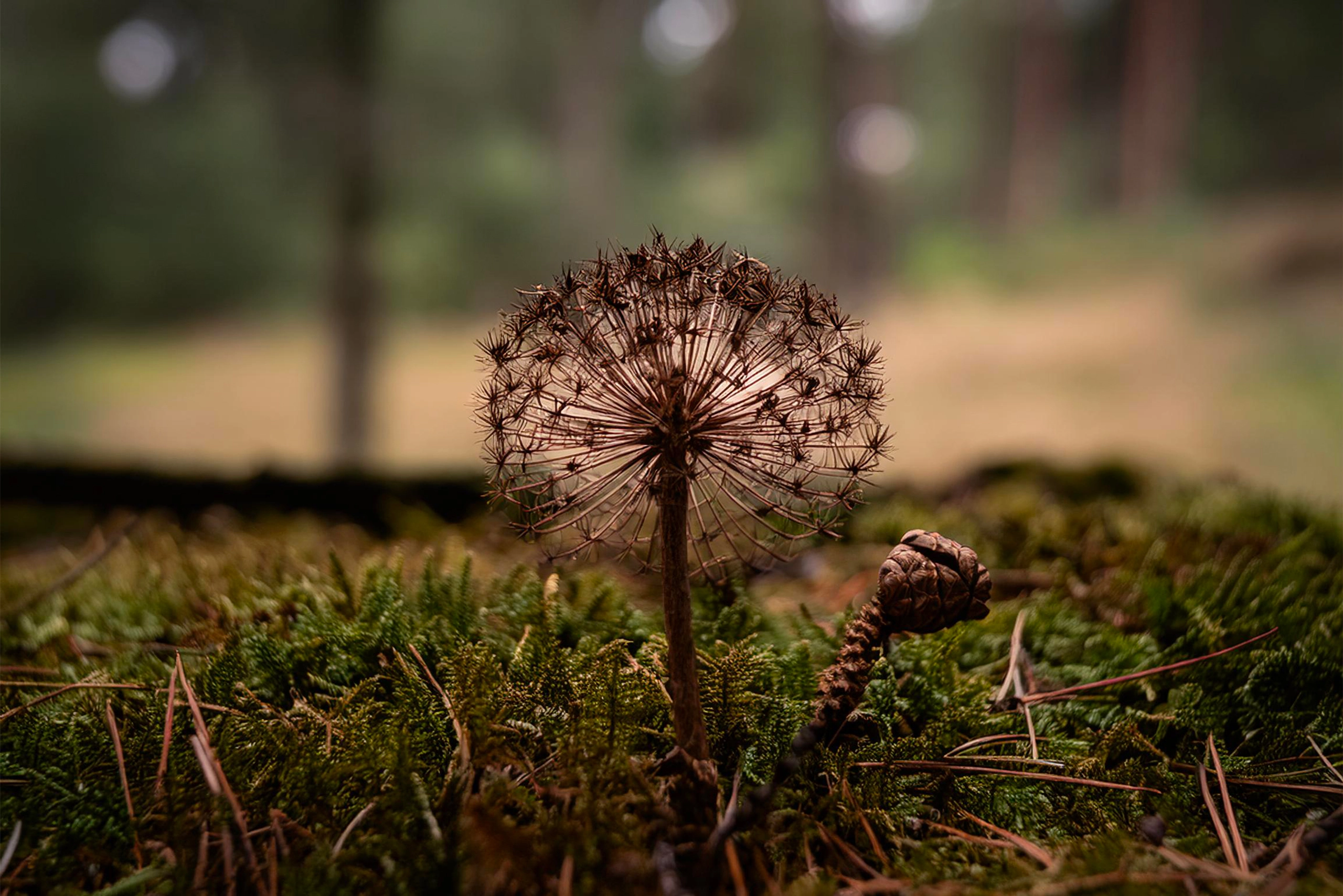 Tantra We hold on to what is worth keeping, then with the breath of kindness, we gently blow away the rest