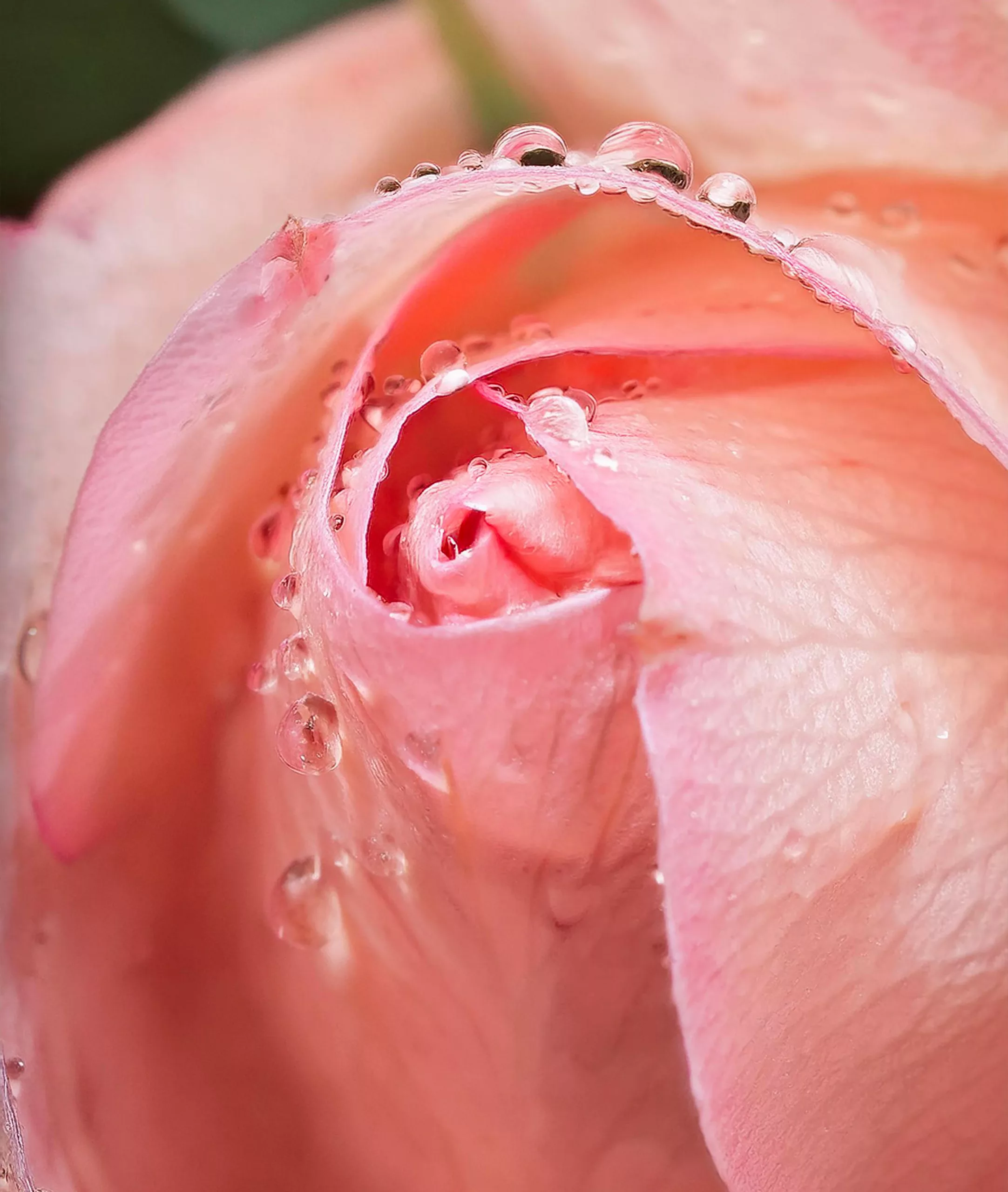 A serene space after a tantric ritual, with soft candlelight and incense smoke lingering in the air, creating a peaceful atmosphere of reflection and tranquility