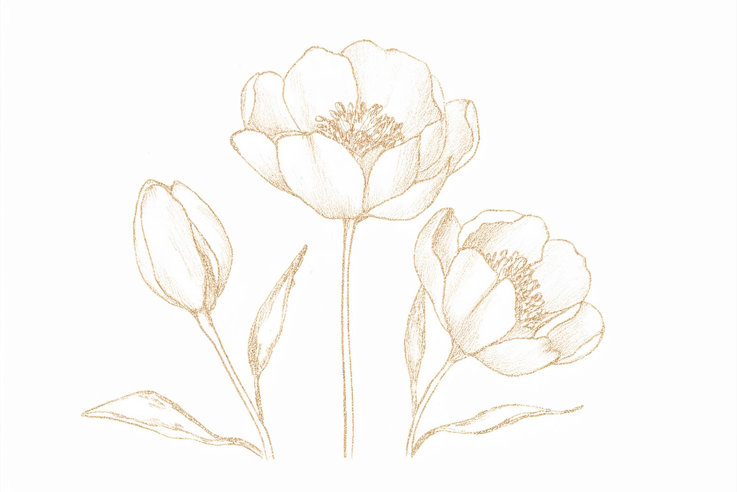 A flower gently cradled in an embrace symbolizes the purity of love, representing the delicate balance of affection and connection