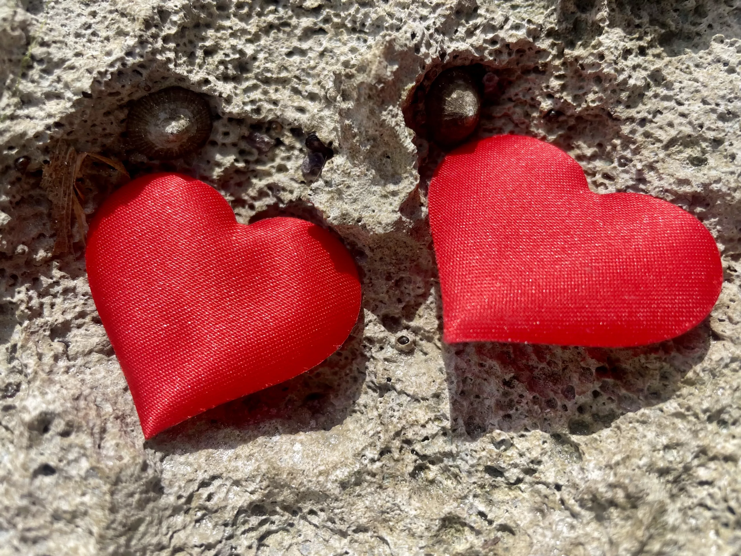 Two hearts resting on a cliff, symbolizing the vulnerability and openness needed to overcome the ego’s fear