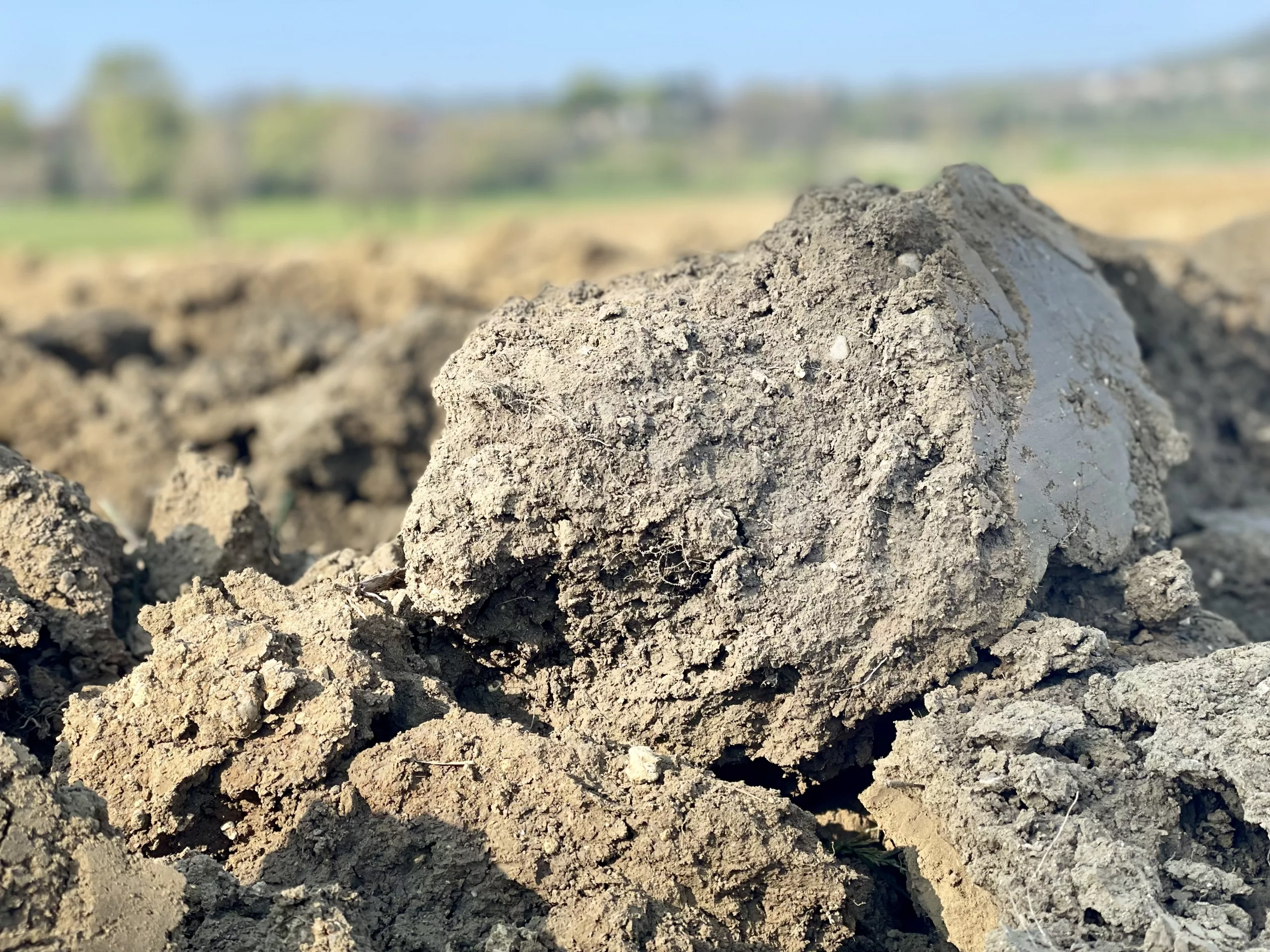 A freshly worked soil, ready for planting, symbolizing the invisible seeds of light and potential for inner growth