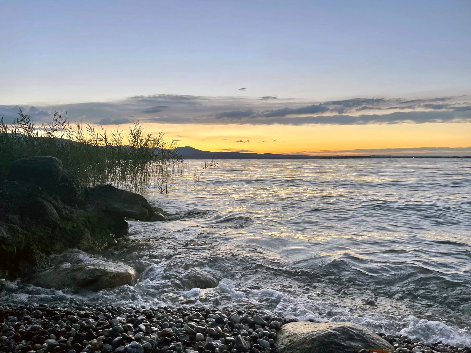 The Dream That Guides the Awakening