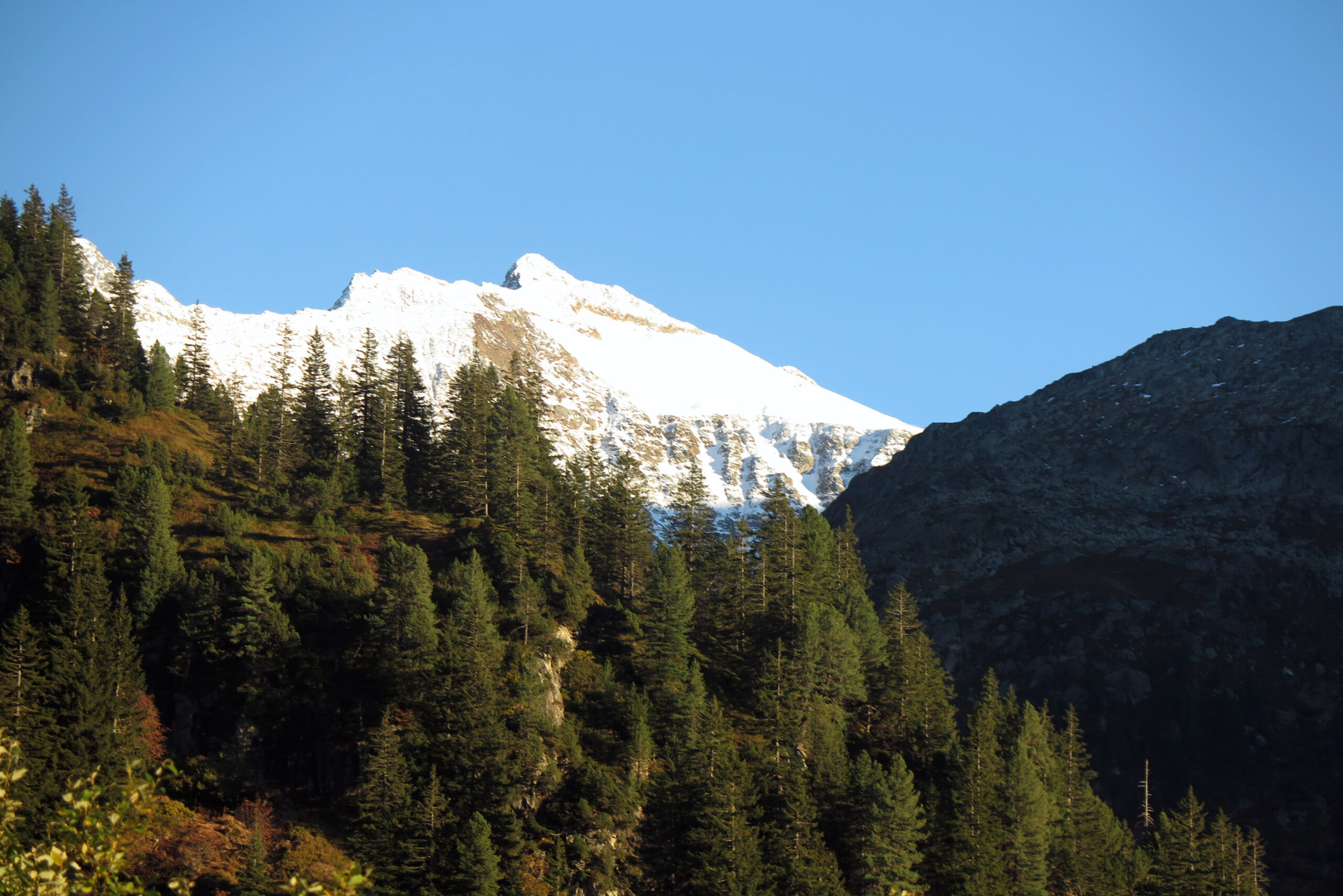 When attention drifts toward calculation, beauty and quality withdraw, leaving only emptiness and structure